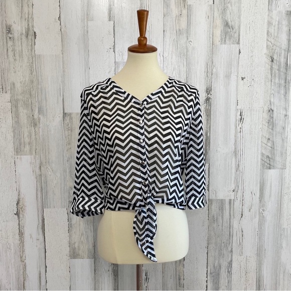 Bongo Sheer Tie Front Chevron Blouse - Picture 1 of 6